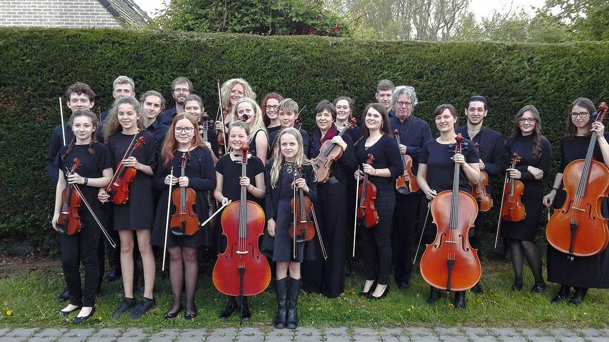 Les violons d'été